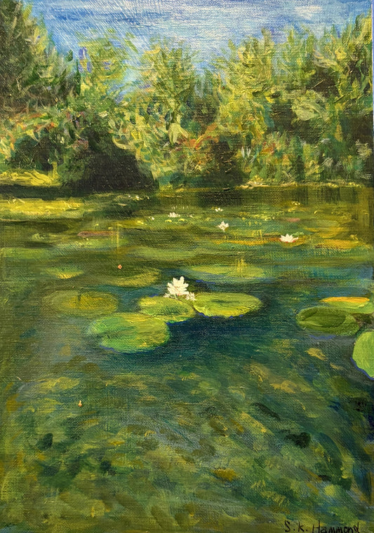Canoeing on the Waterford Ponds
