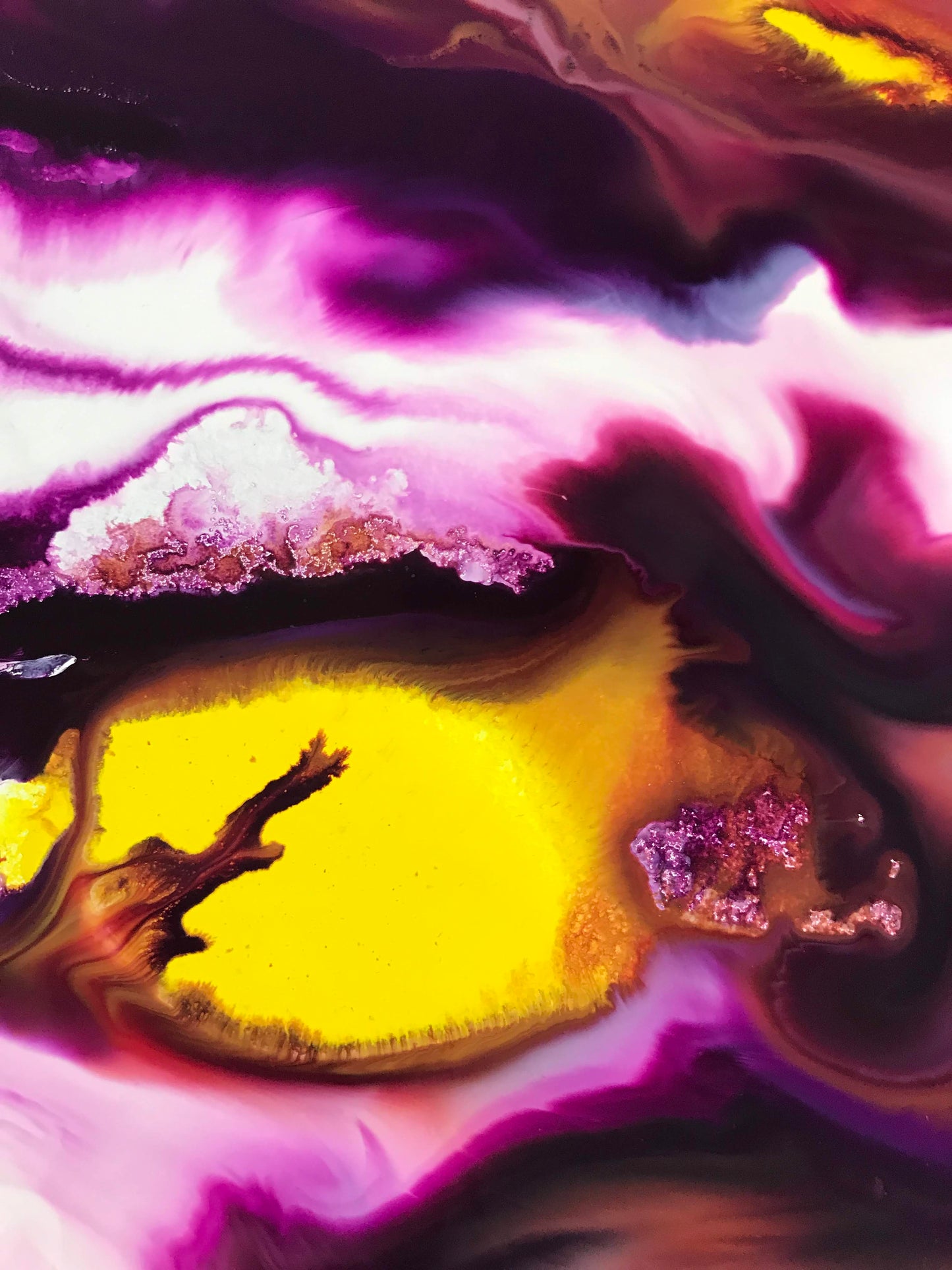 Painting Snapshots